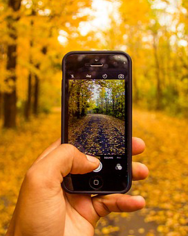 Een witte hand houdt een zwarte mobiele telefoon omhoog met de camera app geopend. De duim zweeft boven de sluiterknop om een foto te maken van het prachtige gele herfstbos dat op de achtergrond van de afbeelding te zien is. 